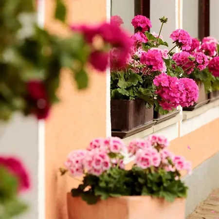 Hotel Reineldis Mureck