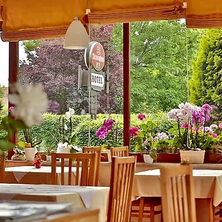 Hotel Reineldis *