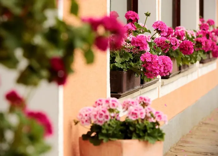 Hotel Reineldis Mureck